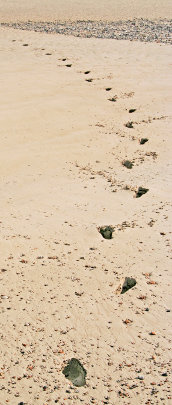 Footprints image by mailsparky